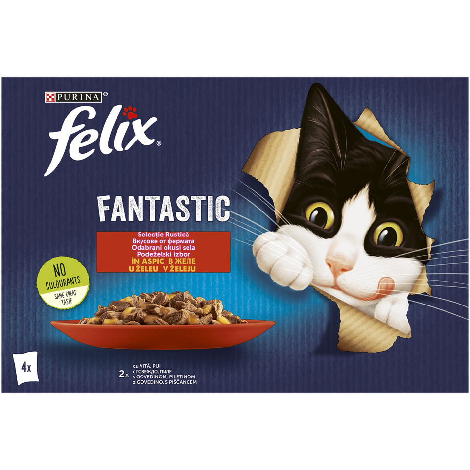 Felix-Fantastic