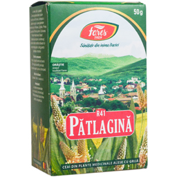 Ceai din plante medicinale din patlagina-frunza 50g