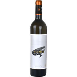 Vin alb Sauvignon Blanc & Feteasca Regala 750ml