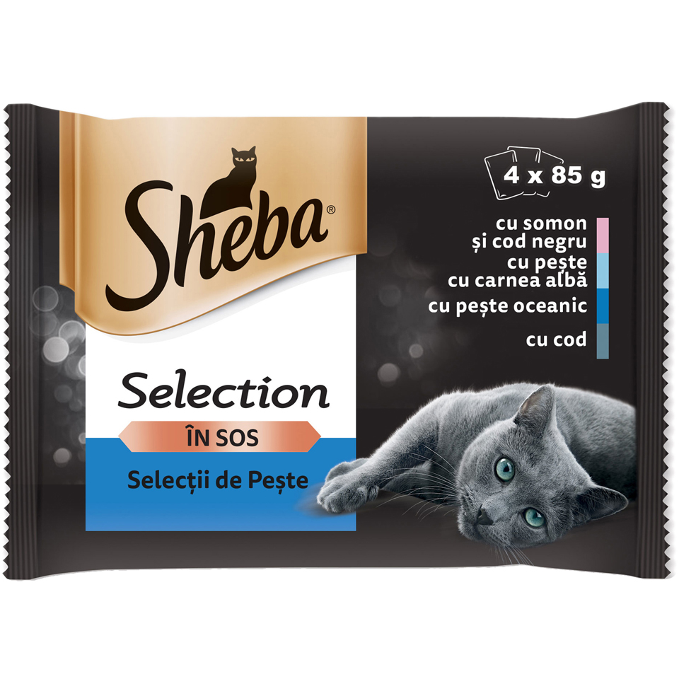 Sheba-Selection