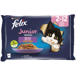 Hrana pentru pisica junior cu pui 4x85g