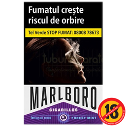 Cigarillos Forest Mist