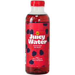Juicy Water  600ml